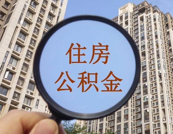 廊坊退休后查不到公积金明细了吗（退休后公积金查询不到原因）